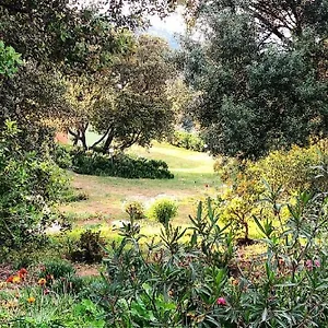 Farm Gli Oleandri Alloggio per agriturismo